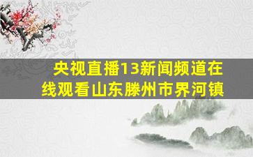 央视直播13新闻频道在线观看山东滕州市界河镇