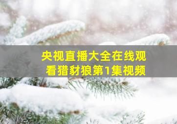 央视直播大全在线观看猎豺狼第1集视频