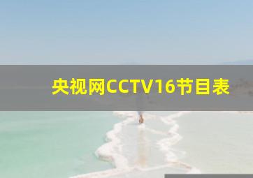 央视网CCTV16节目表