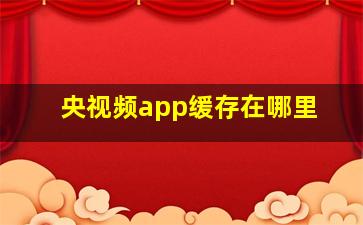 央视频app缓存在哪里