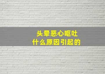 头晕恶心呕吐什么原因引起的