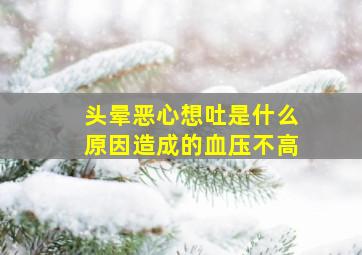 头晕恶心想吐是什么原因造成的血压不高