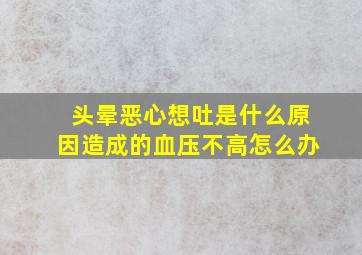 头晕恶心想吐是什么原因造成的血压不高怎么办