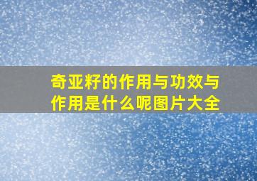 奇亚籽的作用与功效与作用是什么呢图片大全