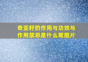 奇亚籽的作用与功效与作用禁忌是什么呢图片