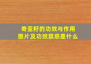 奇亚籽的功效与作用图片及功效禁忌是什么