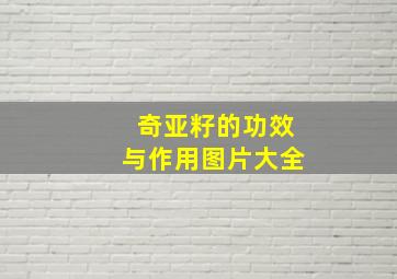 奇亚籽的功效与作用图片大全