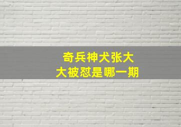 奇兵神犬张大大被怼是哪一期