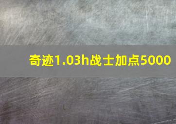 奇迹1.03h战士加点5000