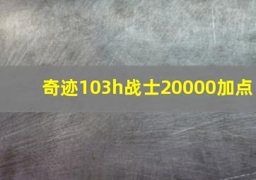 奇迹103h战士20000加点