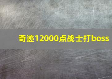 奇迹12000点战士打boss