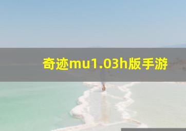 奇迹mu1.03h版手游