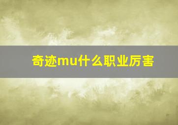 奇迹mu什么职业厉害