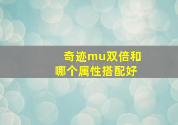 奇迹mu双倍和哪个属性搭配好