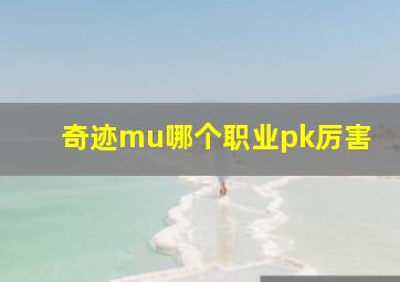 奇迹mu哪个职业pk厉害