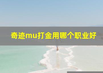 奇迹mu打金用哪个职业好