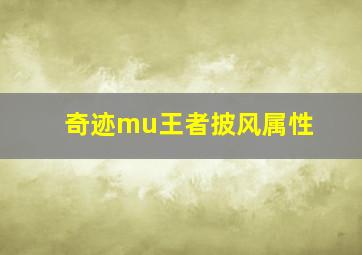 奇迹mu王者披风属性