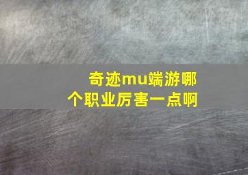 奇迹mu端游哪个职业厉害一点啊