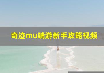 奇迹mu端游新手攻略视频