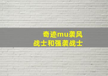 奇迹mu袭风战士和强袭战士