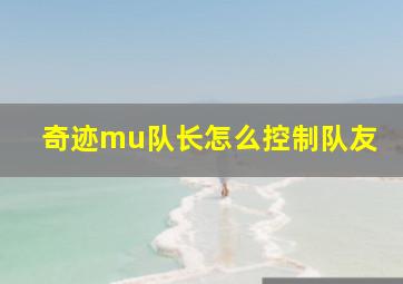 奇迹mu队长怎么控制队友