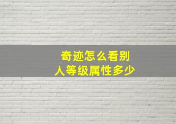 奇迹怎么看别人等级属性多少