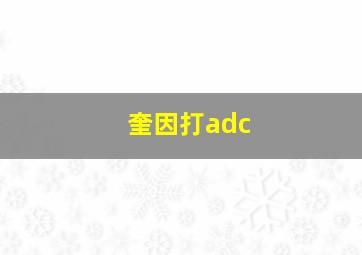 奎因打adc