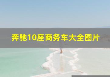 奔驰10座商务车大全图片