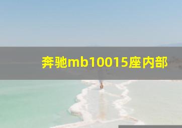 奔驰mb10015座内部