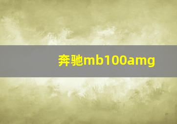 奔驰mb100amg