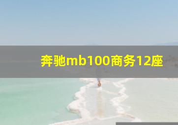 奔驰mb100商务12座