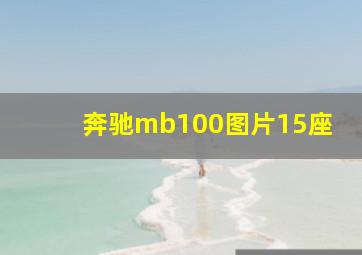 奔驰mb100图片15座