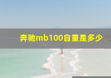 奔驰mb100自重是多少