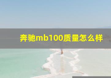 奔驰mb100质量怎么样