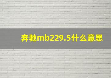 奔驰mb229.5什么意思