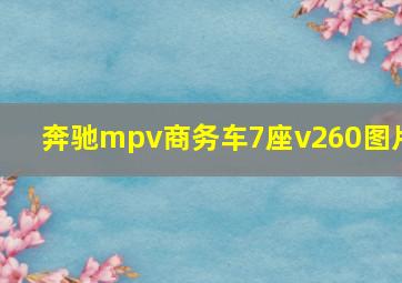 奔驰mpv商务车7座v260图片