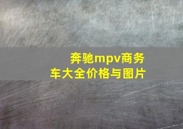 奔驰mpv商务车大全价格与图片