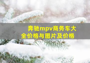 奔驰mpv商务车大全价格与图片及价格