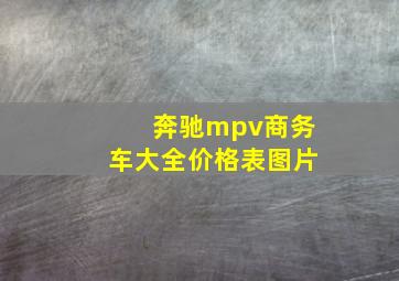 奔驰mpv商务车大全价格表图片