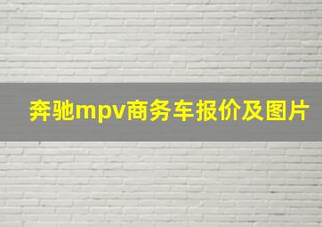 奔驰mpv商务车报价及图片