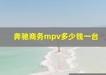 奔驰商务mpv多少钱一台