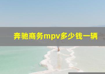 奔驰商务mpv多少钱一辆