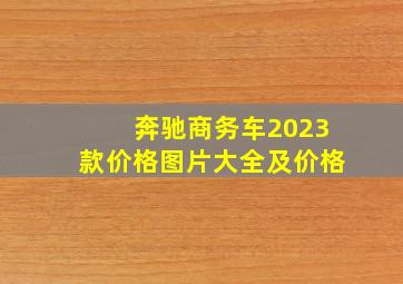 奔驰商务车2023款价格图片大全及价格