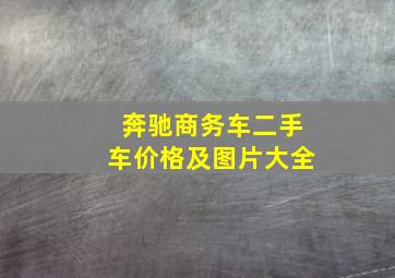 奔驰商务车二手车价格及图片大全