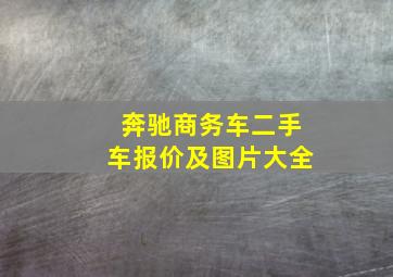 奔驰商务车二手车报价及图片大全