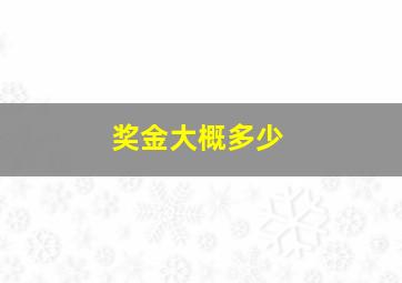 奖金大概多少