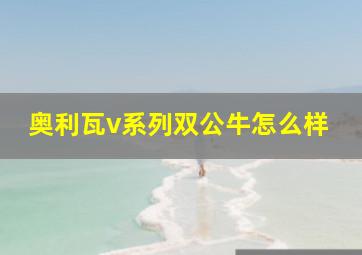 奥利瓦v系列双公牛怎么样