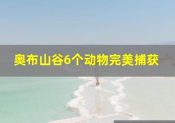 奥布山谷6个动物完美捕获