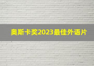 奥斯卡奖2023最佳外语片