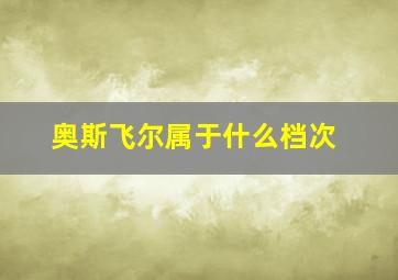 奥斯飞尔属于什么档次